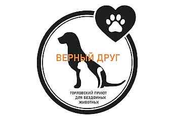 Горловский приют "Верный друг"