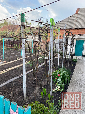 Продажа дома Макеевка - изображение 6