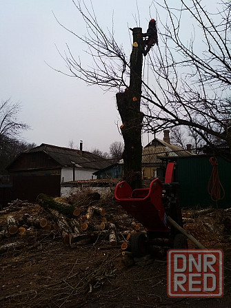 Удаление и обрезка деревьев Донецк - изображение 2