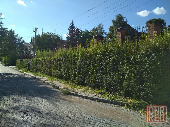 Удаление и обрезка деревьев Донецк - изображение 5