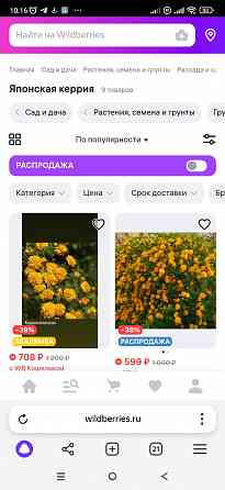 Керрия Донецк