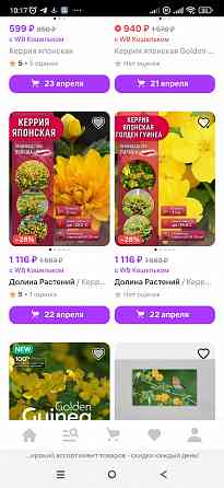 Керрия Донецк
