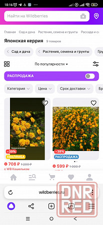Керрия Донецк - изображение 2