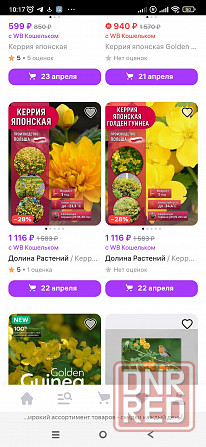Керрия Донецк - изображение 1