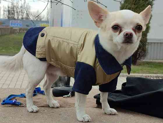 Куртка для собак Донецк