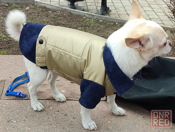 Куртка для собак Донецк - изображение 3