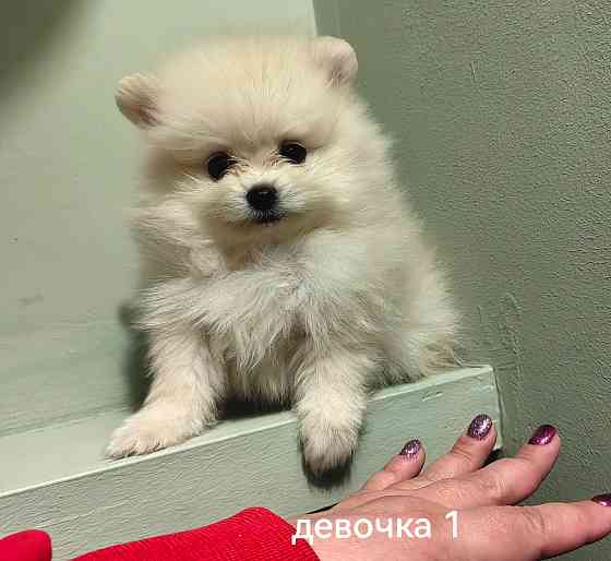 Счастье в дом на долгие годы. Донецк