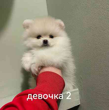 Счастье в дом на долгие годы. Донецк