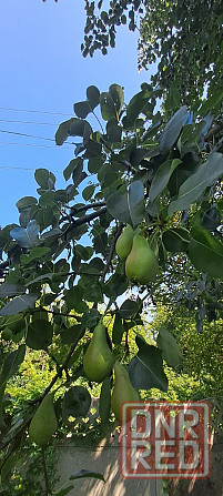 Продается дом в г.Макеевка, пос.Комсомольский, рядом с пос.Путь Ильича Макеевка - изображение 12