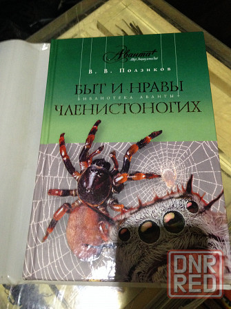 коллекция жуков и насекомых Донецк - изображение 8