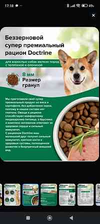 Корм для собак Doctrine 3 кг Донецк