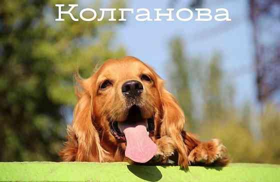 Вязка кокер Донецк