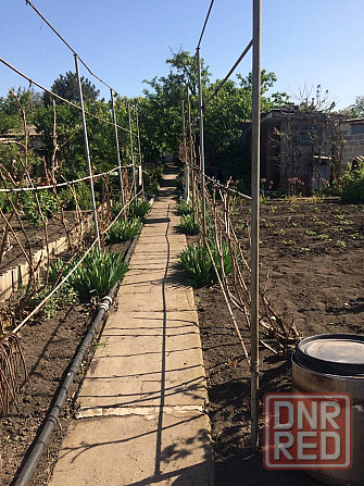 Продам дачу Старобешево - изображение 2