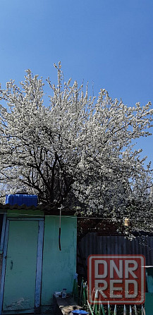 Продам дом, Пролетарский район. Донецк - изображение 1