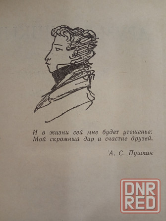Про Пушкина Александра Донецк - изображение 6