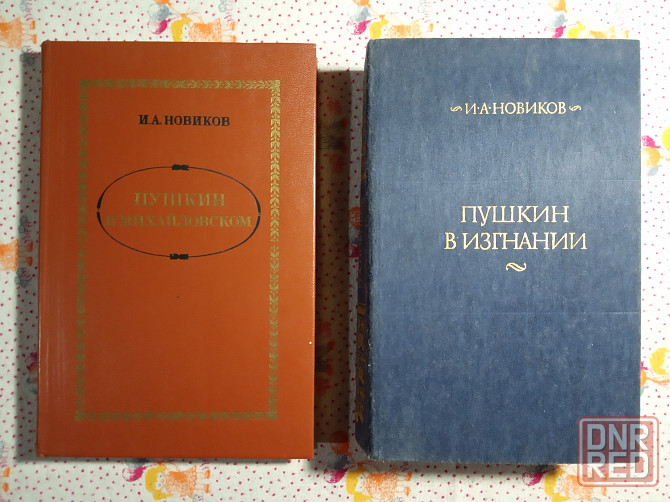 Про Пушкина Александра Донецк - изображение 3
