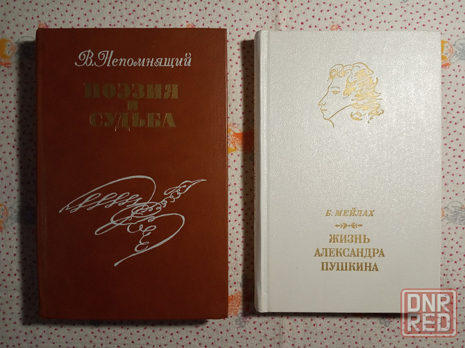 Про Пушкина Александра Донецк - изображение 1