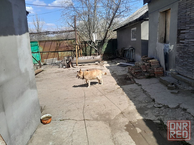 Продам благоустроенный дом в Макеевке Макеевка - изображение 3