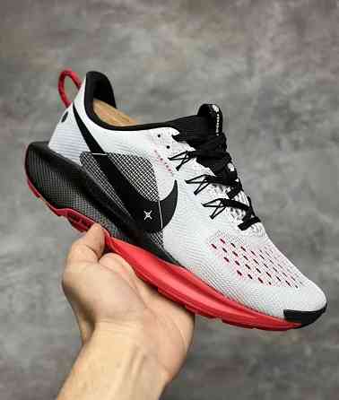 Спортивные кроссовки для бега Nike Pegasus Trail 5 Донецк