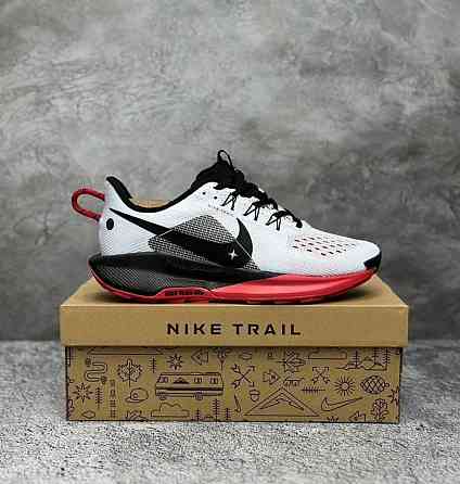 Спортивные кроссовки для бега Nike Pegasus Trail 5 Донецк