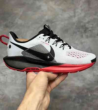 Спортивные кроссовки для бега Nike Pegasus Trail 5 Донецк