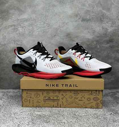 Спортивные кроссовки для бега Nike Pegasus Trail 5 Донецк