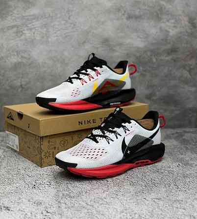 Спортивные кроссовки для бега Nike Pegasus Trail 5 Донецк