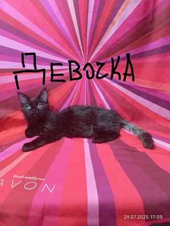 Мейн-кун 25 000 Донецк