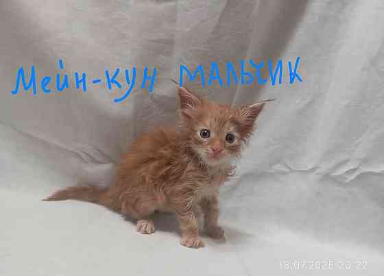 Мейн-кун 25 000 Донецк