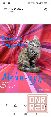 Мейн-кун 25 000 Донецк - изображение 3