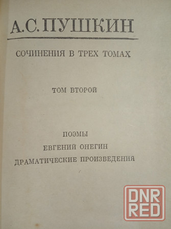 Александр Пушкин Донецк - изображение 4