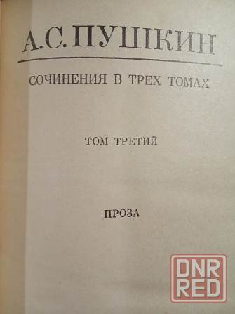 Александр Пушкин Донецк - изображение 5