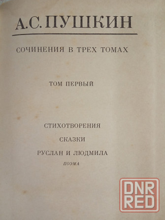 Александр Пушкин Донецк - изображение 3