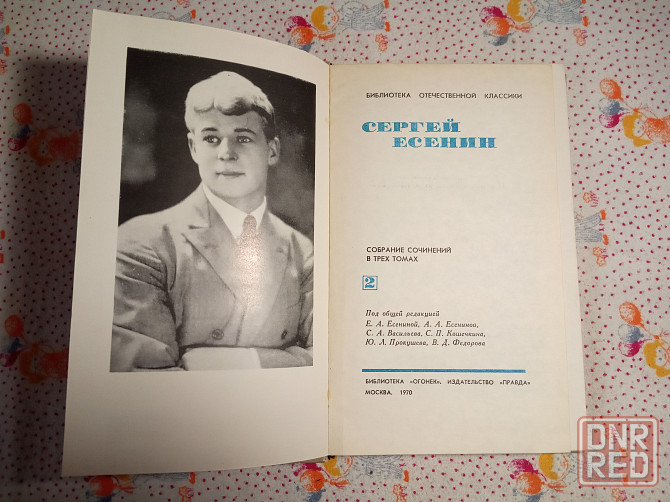 Сергей Есенин Донецк - изображение 4