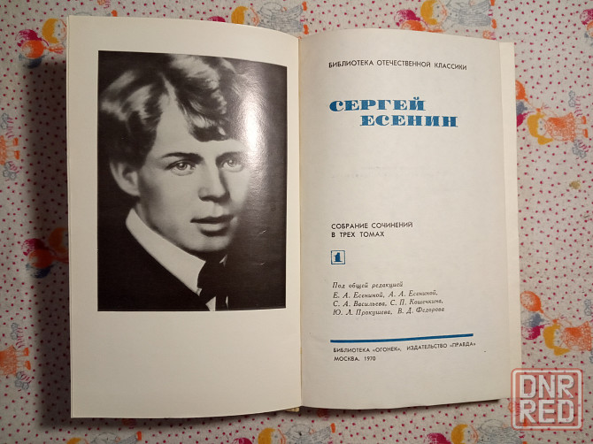 Сергей Есенин Донецк - изображение 3