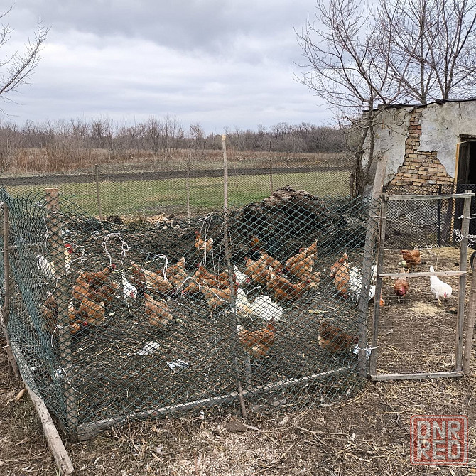 Продам дом Донецк - изображение 7
