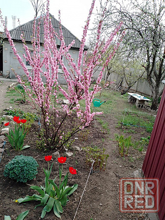 Продаю дом Луганск - изображение 1