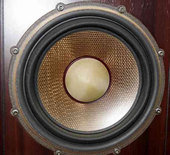 Акустика Diatone DS-2000 Донецк