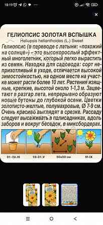 Гелиопсис золотая вспышка Донецк