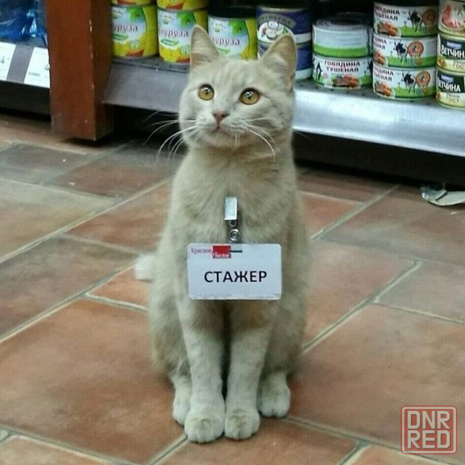 в магазин на бульваре пушкина требуется продавец-консультант и бармен Донецк - изображение 1