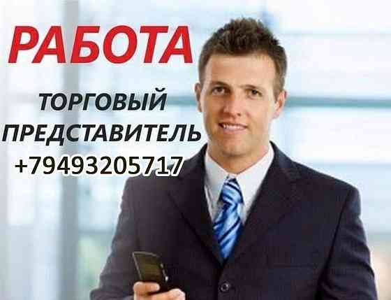Срочно торговый агент Макеевка