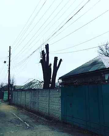 Спил деревьев, расчистка участка от порослей, покос травы Луганск