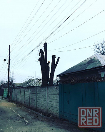 Спил деревьев, расчистка участка от порослей, покос травы Луганск - изображение 4