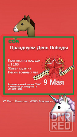 Лошадь катание обучение Макеевка Макеевка - изображение 1