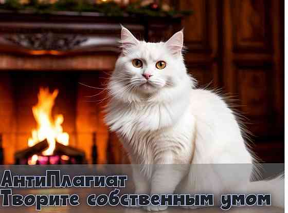 Рерайт текста, Антиплагиат, Повышение уникальности Донецк