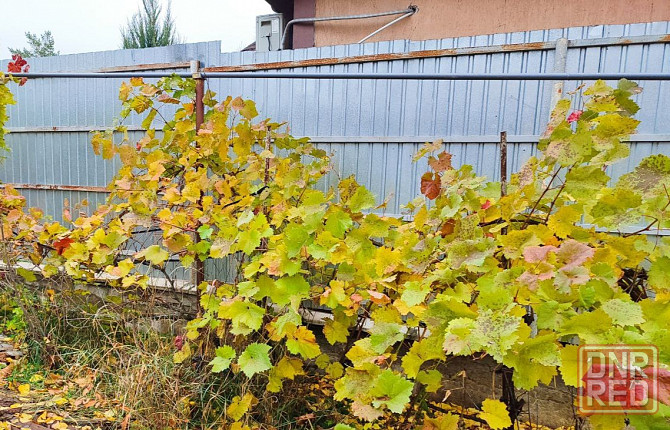 Продам дом 3 комнаты Донецк - изображение 2