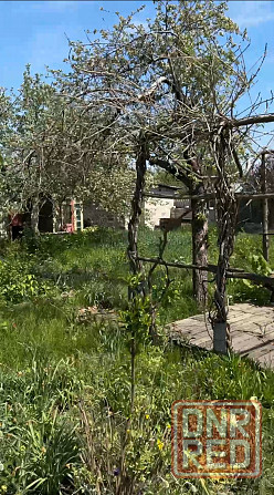 Продам 4-х комн Дом в Киевском р-не. Три спальни. Газ. Условия в доме. Огород. . Донецк - изображение 5