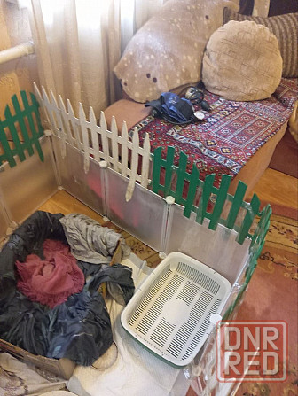 Продам клетку вольер Донецк - изображение 5