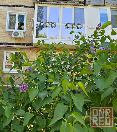 Продам 2-ком.кв-ру, 2/5, кап.ремонт,все остаётся (ул.Армавирская)! Донецк - изображение 12