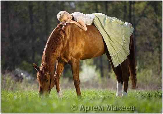 фотосессия с лошадью Макеевка